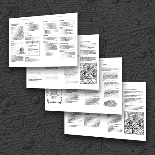 Inside the Everflowing Curtain